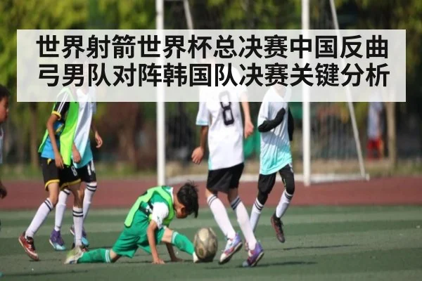 世界射箭世界杯总决赛中国反曲弓男队对阵韩国队决赛关键分析